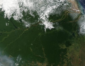or more than thirty years, scientists have used satellite imagery of the Amazon to seek answers about Earth’s diverse ecosystem and the patterns and processes of land cover change. (footnote 1) Shown here is the Amazon Rainforest in northern Brazil as captured by the Moderate Resolution Imaging Spectroradiometer (MODIS) on July 1, 2002. At bottom right and bottom center, deforestation and cultivation are evident by the regular, rectangular shapes that delineate plots. 