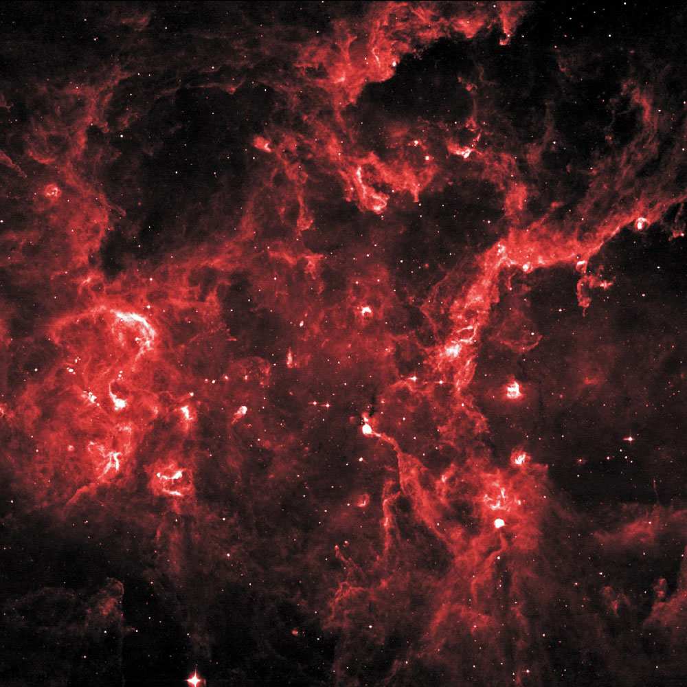 Cygnus X hosts many young stellar groupings. The combined outflows and ultraviolet radiation from the region’s numerous massive stars have heated and pushed gas away from the clusters, producing cavities of hot, lower-density gas.