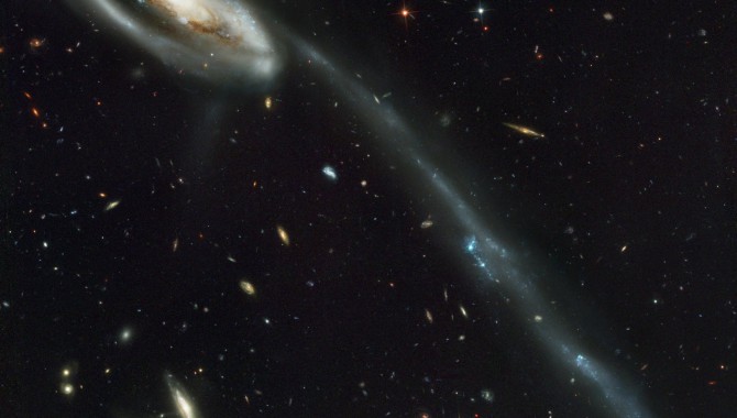 This picture of the galaxy UGC 10214 was was taken by the Advanced Camera for Surveys (ACS), which was installed aboard the Hubble Space Telescope (HST) in March 2002 during HST Servicing Mission 3B (STS-109 mission). Dubbed the "Tadpole," this spiral galaxy is unlike the textbook images of stately galaxies. Its distorted shape was caused by a small interloper, a very blue, compact galaxy visible in the upper left corner of the more massive Tadpole. The Tadpole resides about 420 million light-years away in the constellation Draco. Seen shining through the Tadpole's disk, the tiny intruder is likely a hit-and-run galaxy that is now leaving the scene of the accident. Credit: NASA / Marshall Space Flight Center