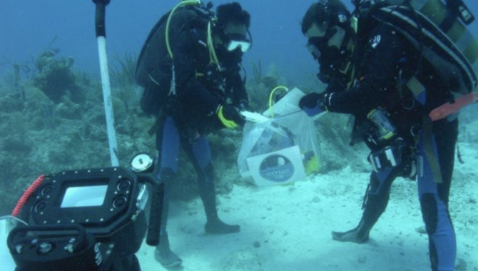 NEEMO Case Study
