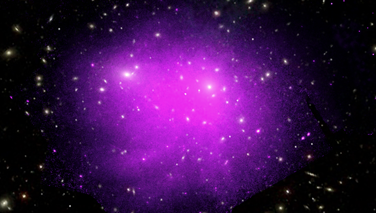 In the early 1930s, astrophysicist Fritz Zwicky studied the Coma Cluster—shown here in an image obtained by NASA’s Chandra X-ray Observatory—and discovered a puzzling inconsistency that led him to theorize the presence of dark matter. Photo Credit: NASA