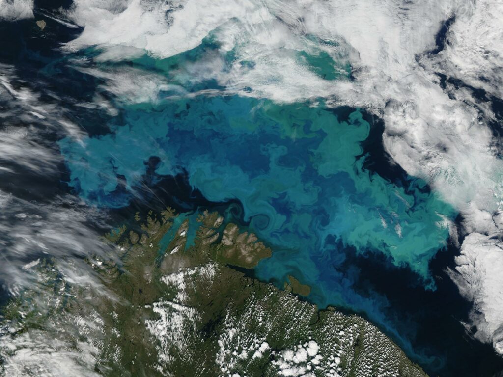 Phytoplankton bloom in the Barents Sea captured August 14, 2011. Photo Credit: NASA Goddard