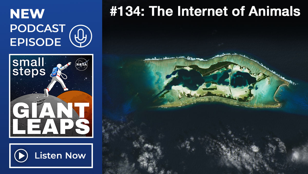 Collage image of podcast logo and a satellite image of an island. On the left is the logo which features an illustrated astronaut leaping from the Moon to Mars. The white text above reads New Podcast Episode. At the right is the image of the island. Above it reads #134: The Internet of Animals in white text.